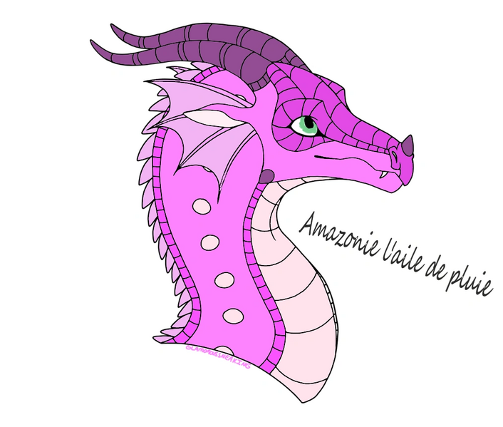 Fichier:Amazonie l'Aile de pluie.png