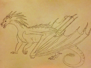 36273287 1897467370557128 6100684092561424384 n.jpg