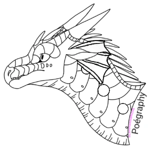 R:Aile de nuit pluie 20200628154423.png