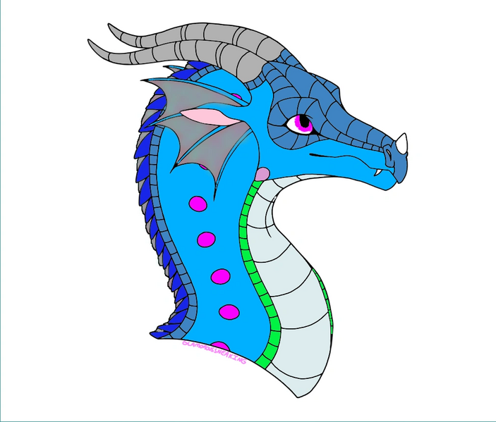 Fichier:R:Etoile de mer.png