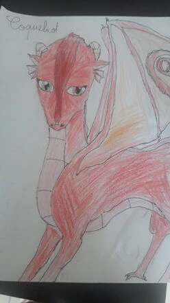 Coquelicot des Ailes de Pluie.jpg