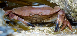 R:Big 20160624153154 82.jpg