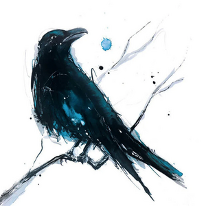 R:Un joli corbeau....jpg