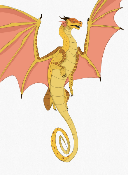 Fichier:R:Patte de sureau 2.jpeg