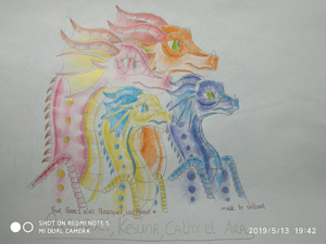 IMG 20190513 194225.jpg