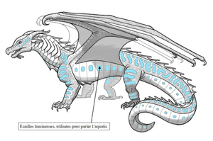 R:Écailles utilisées en aquatic.png