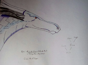 R:IMG 20191023 122209 kindlephoto-17300241.jpg