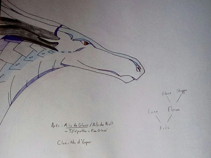 Fichier:R:IMG 20191023 122209 kindlephoto-17300241.jpg