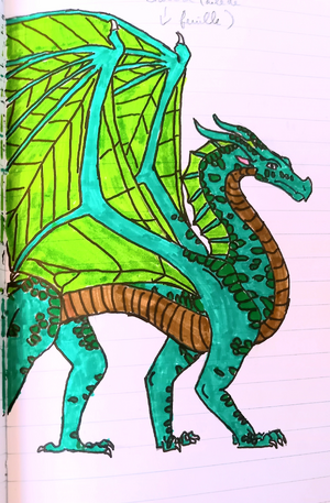 R:Mon dessin d'aile de feuille.jpg