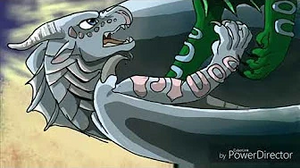 Anémone triton se battent.jpg