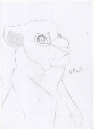 R:Nala 001.jpg