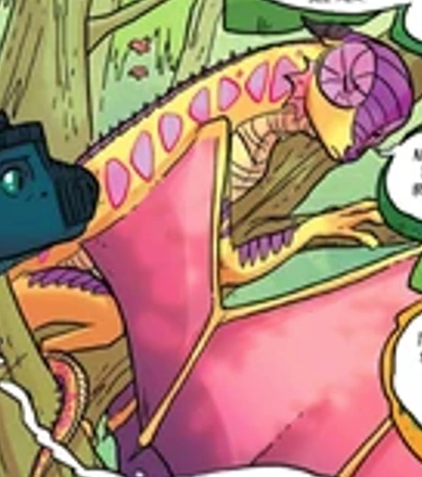 Fichier:R:Kinkajou bd.png