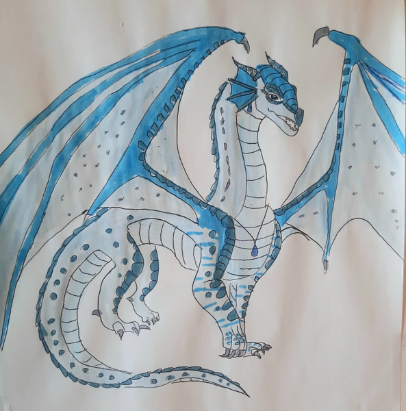 Fichier:20251231 132338.jpg