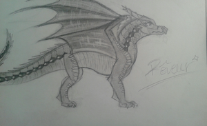 20200529 150622-1.jpg