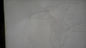 R:WIN 20181117 12 15 24 Pro.jpg