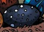Fichier:NightWing Egg.png