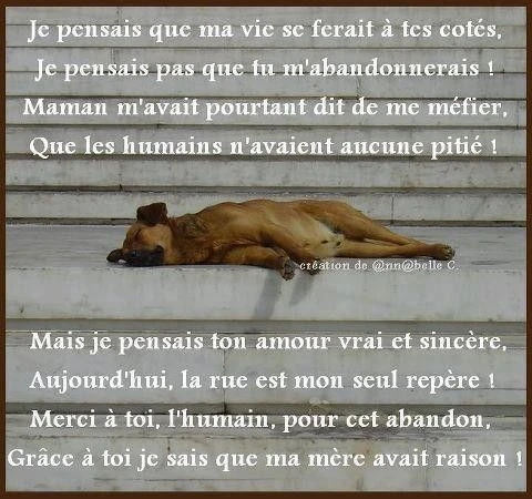 Fichier:Unnamed (2).jpg