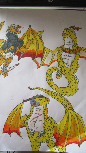 Fichier:R:IMG 7222.jpg