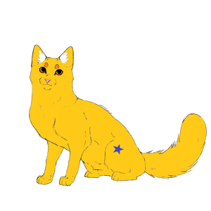 R:Patte d'Étoile.png