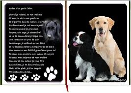 Fichier:Images (3).jpg