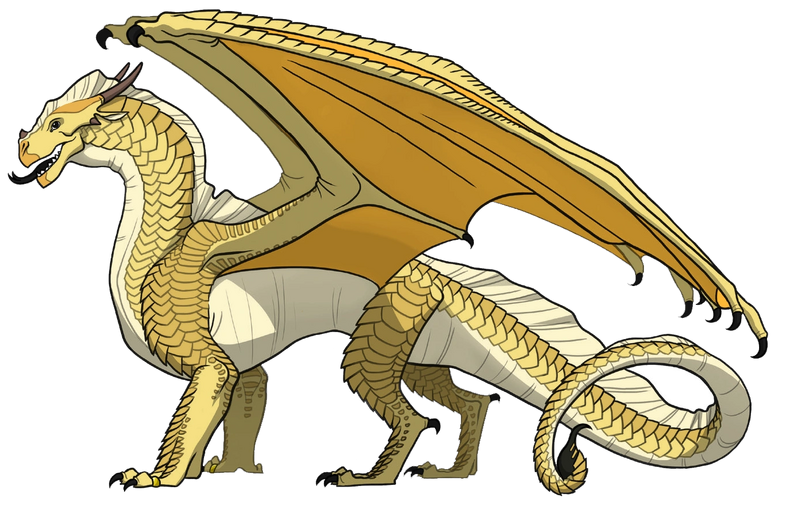 Fichier:R:Flamme yemplate.png