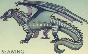 R:Typical SeaWing by Sassy the Beagle.jpg