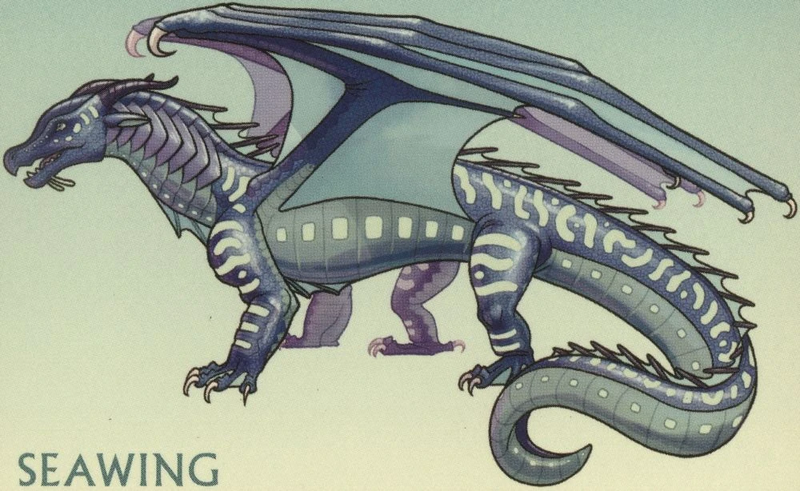 Fichier:R:Typical SeaWing by Sassy the Beagle.jpg