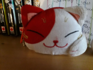 Pitit porte monnaie.jpg