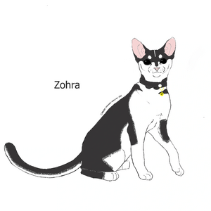 Zohra.png
