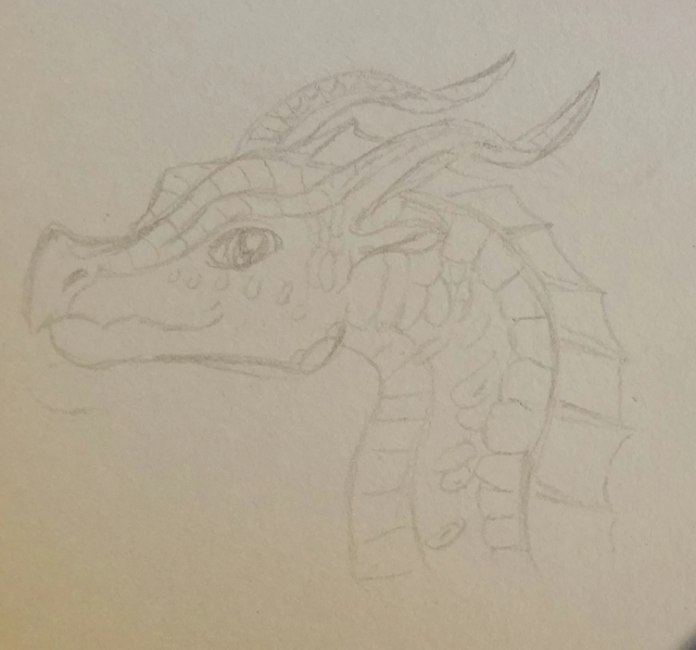 Fichier:Saule par Ecaille Lunaire.jpg