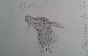 20200509 110446-1.jpg