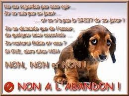 Fichier:R:Images (4).jpg