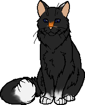 Fichier:R:Nocturne (chef).png