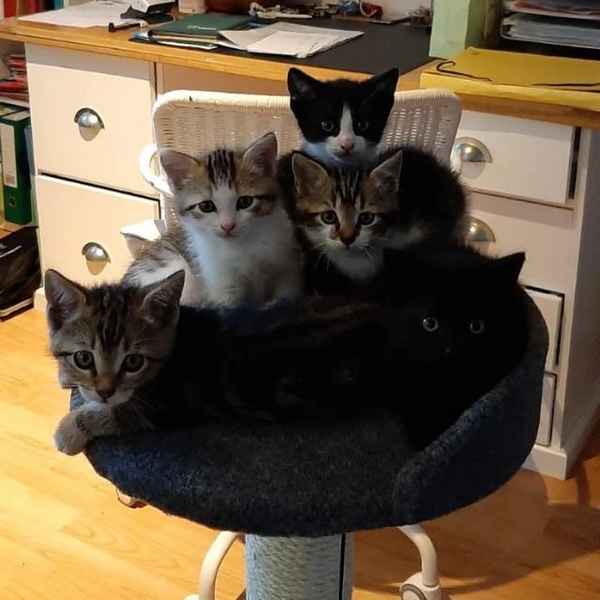 Fichier:R:Discu. 20190902 072503.jpg