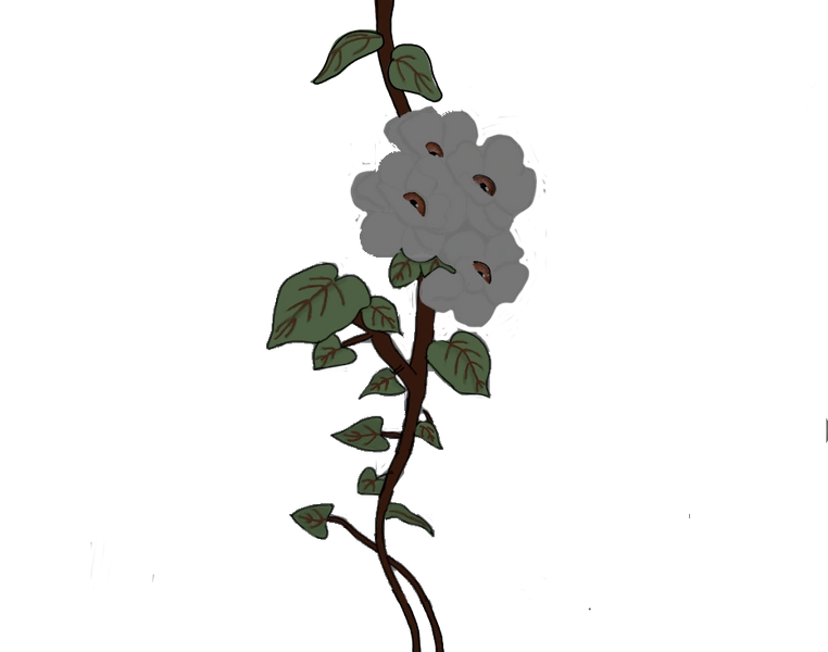 Fichier:R:Le souffle du mal.png