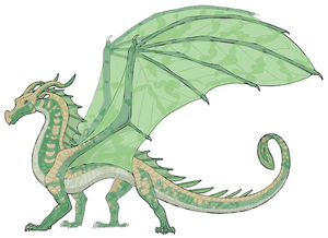 Araucaria 20251105180303.png