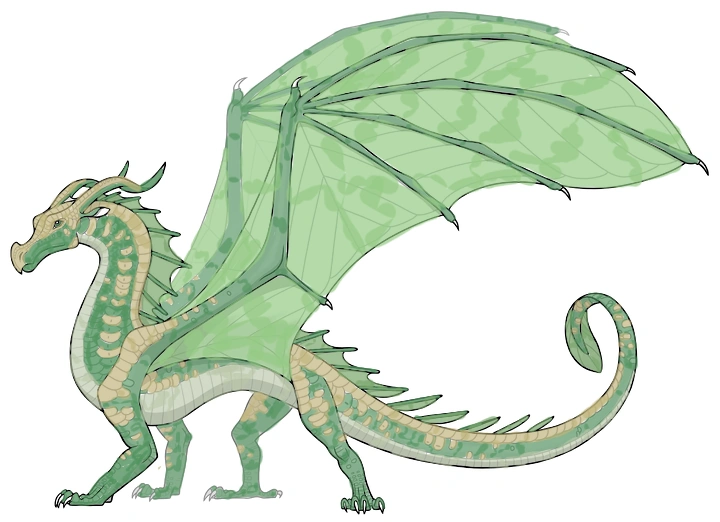 Fichier:Araucaria 20251105180303.png