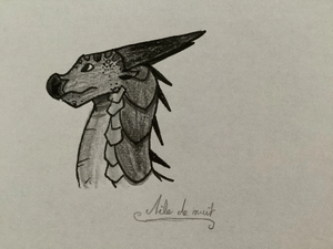 R:Aile de nuit de Patte de sureau.jpeg