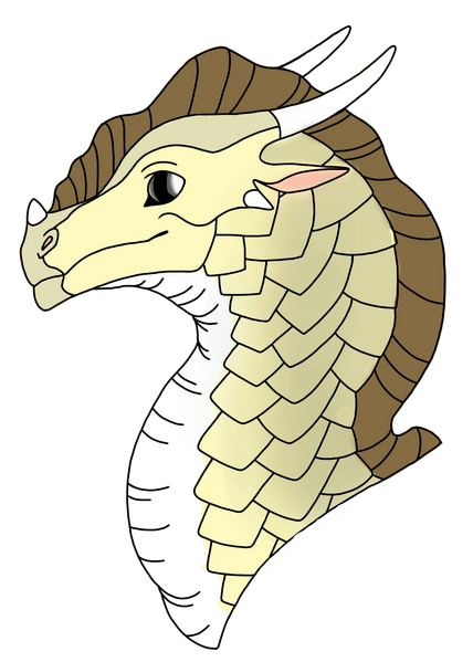 Fichier:Pour cactus.png