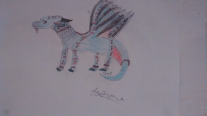 Anémone trop belle !.jpg