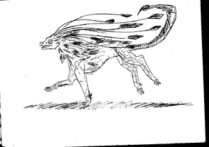 R:Target en vrai.jpg