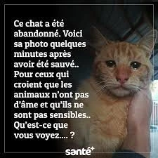 Fichier:Images (5).jpg