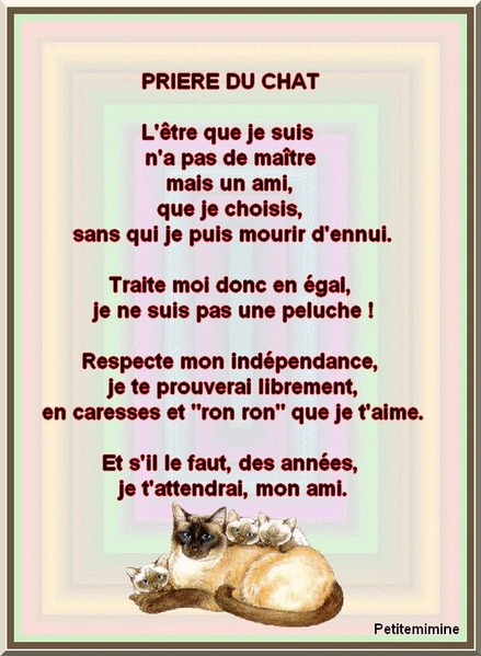 Fichier:Ob 7e35a5 92ygn8p4.jpg