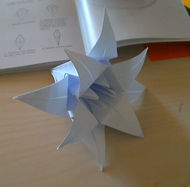 Fichier:R:WIN 20210829 13 41 51 Pro (2).jpg