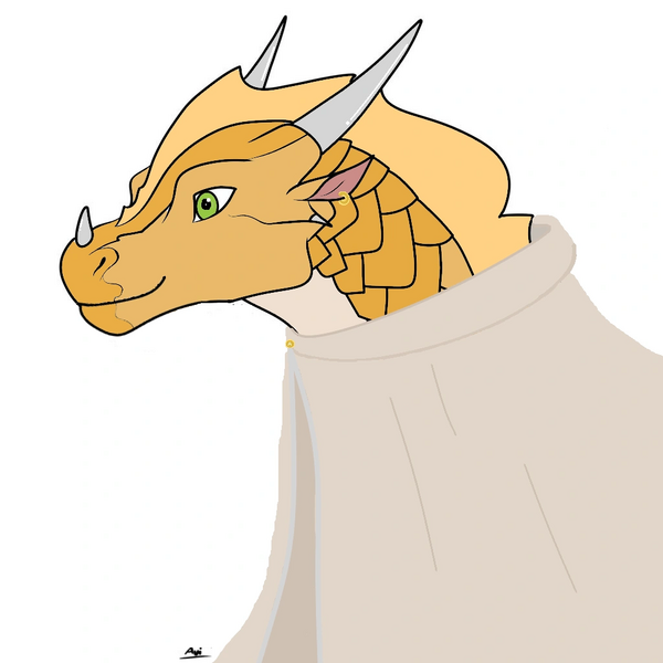 Fichier:R:Aube + cape.png