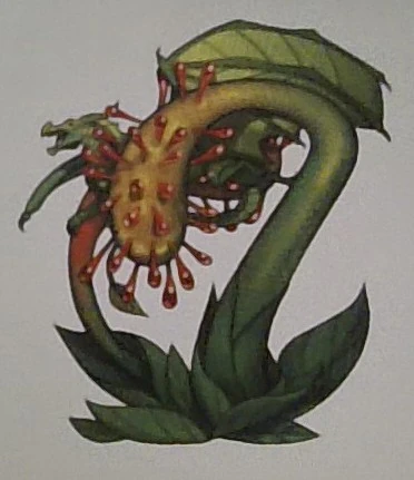 Fichier:Une dionée Gobe-dragon.jpg