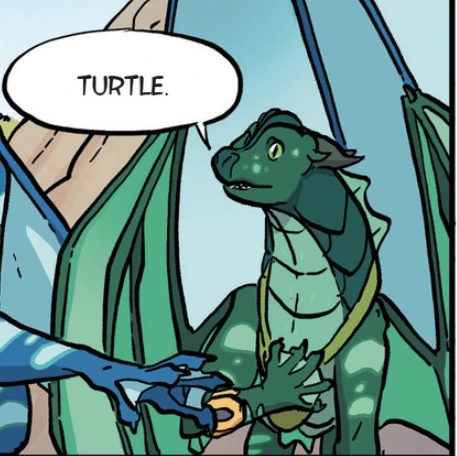 Fichier:R:Turtle GN .jpg