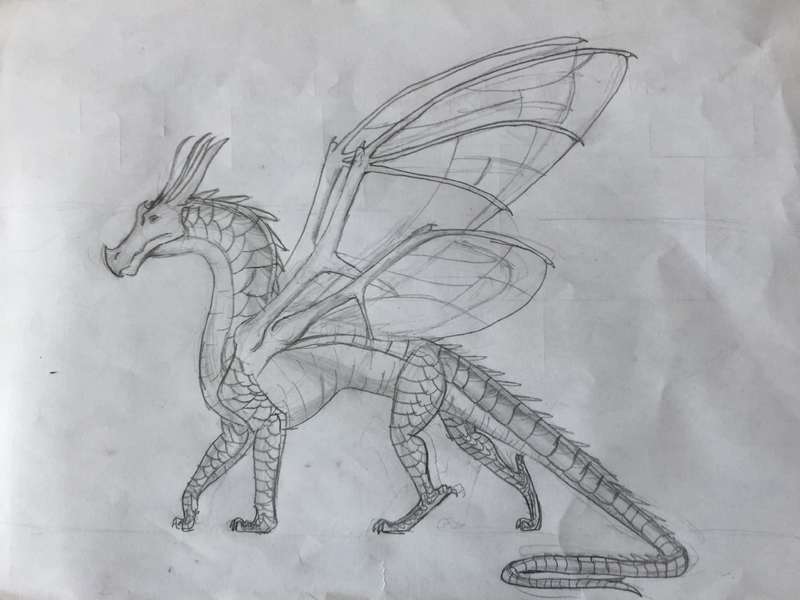 Fichier:Beetlewing by me.JPG