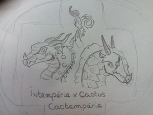 IMG 20200401 180519.jpg