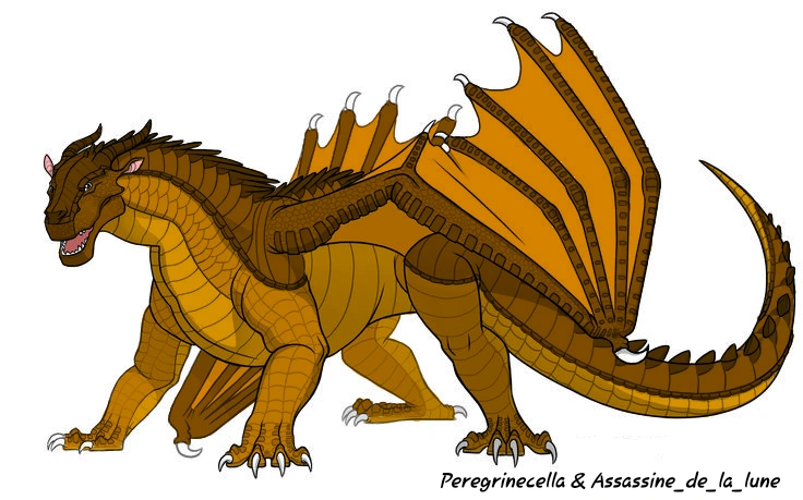 Fichier:R:Sans titre 268 20200730093546.png